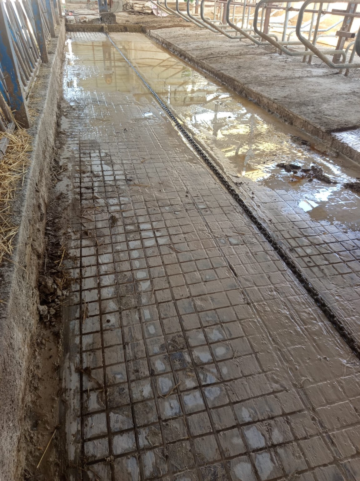 Ahır beton zemininde kanal ve donatı hazırlığı.